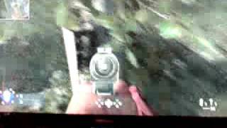 cod5 tree glitch