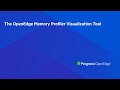 The OpenEdge Memory Profiler Visualization Tool