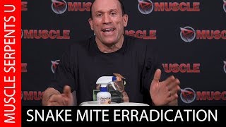 Snake Mites: Secret of How to Get Rid of Them Quickly