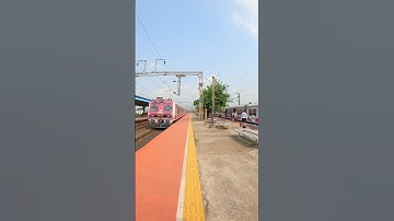 Pink MEDHA Emu With Super Local 💜 // Barddhaman Howrah Chord Super Local 🔥