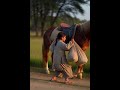 Fun with AI Made Cute Video #trending #youtubeshorts #shortvideo #shortvideo #viral #youtubeshorts