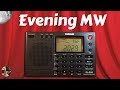 Tecsun PL-380 Shortwave Portable Radio Evening MW