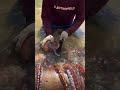 You won’t believe what was inside this squid… a sand dollar #fishing #nature #wildlife