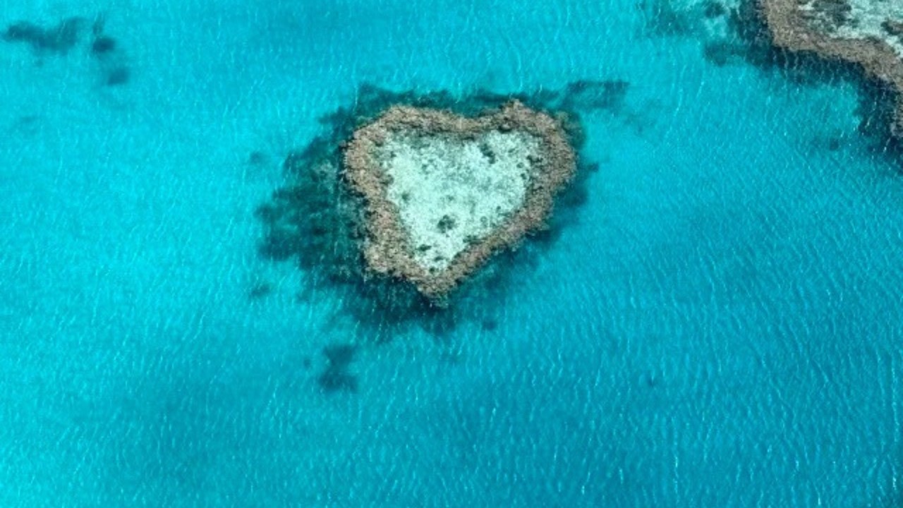 據說這裏是全世界打工最賺錢的國家之壹，如果妳會刷牆修水管焊電焊年入百萬不成問題#旅行 #景區 #旅游 #travel #culture