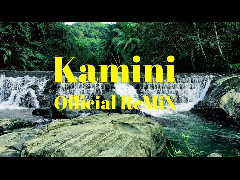 Kamini (කාමිනී) Official  ReMiX - Smokio ft Reezy & Tee Cee (Dope Gang) | Kaizzy  Neon