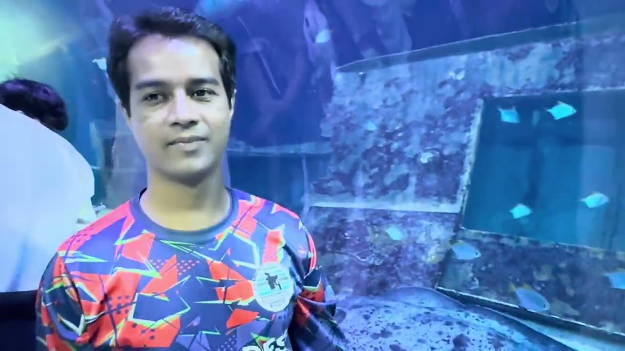 একুরিয়ামের ভিতরে আমরা, উপর দিয়ে যাচ্ছে বিশাল বিশাল মাছ।