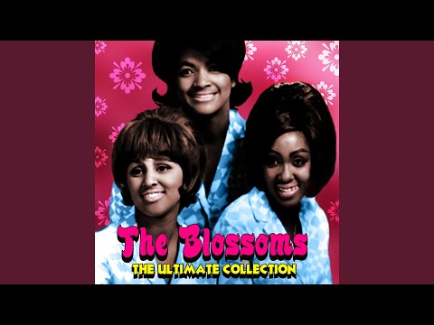 The Blossoms — No Other Love