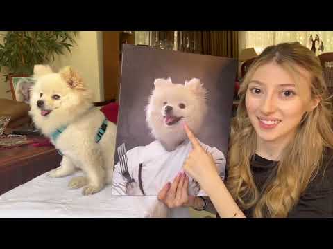 Happy birthday! A perfect gift for pet! (Furryroyal pet portrait)