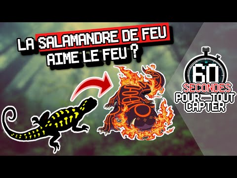 Vidéo: Pourquoi l'esprit du feu est-il une salamandre ?