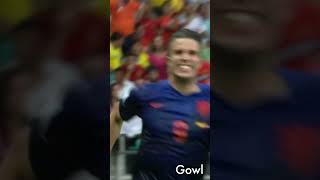 el dia que HOLANDA se vengó de ESPAÑA  🟠 5 - 1 💀