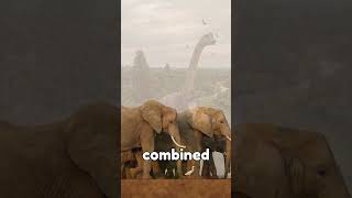 What If the Biggest Dinosaur Ever Still Existed? | Argentinosaurus Explained