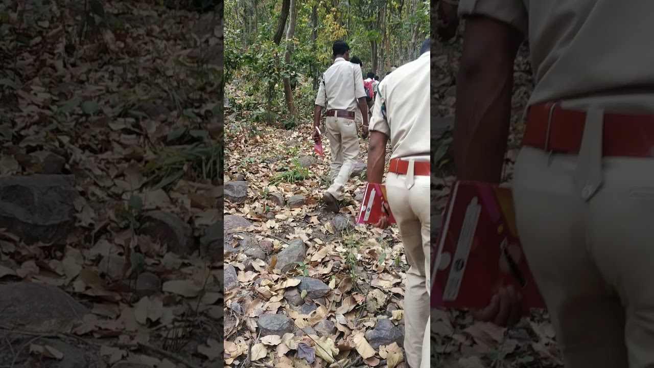 Forest training Field work