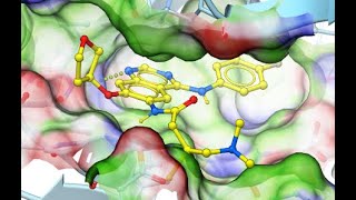 Ligand Docking in ICM: Small Molecules, Fragments, Covalent and Template-Based Methods
