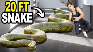 We Got The 5 Largest Snakes On The Planet