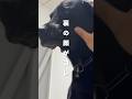 裏の顔がヤバすぎる大型犬！