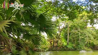 Sasome bekarari | Whatsapp status with lyrics | Love Strings | Creative Tahmid Ahnaf