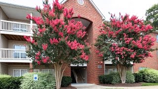 Brookfield Apartments