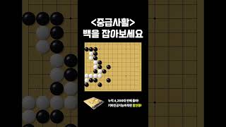 (중급사활) 백을 잡아보세요. 돌 죽는거 무서워하면 못풀어요
