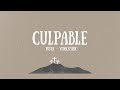 CULPABLE - PISTA CON LETRA OFICIAL - Michelle Matius