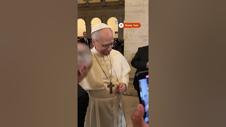 Pope Leo XIV greets well-wishers, hours after being elected