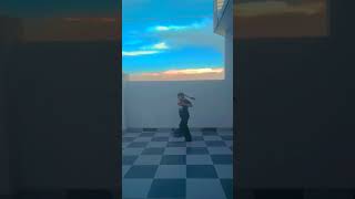 I Am A Lady Dance Pro