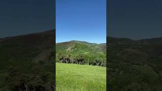 Vistas del Camino de Santiago de Compostela #traveling #travel #travelvlog #travel #vlog #vlogs