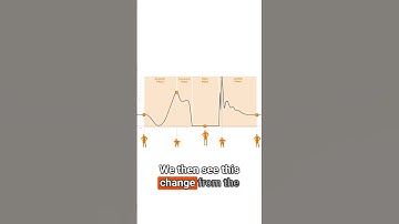How force plates measure a countermovement jump (CMJ)
