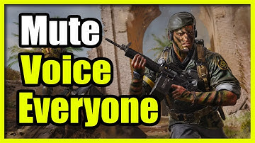 How to Mute Everyone