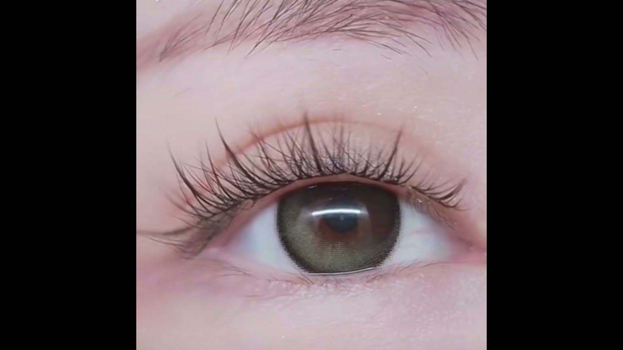 Yumenglashes Diy Eyelashes Extension