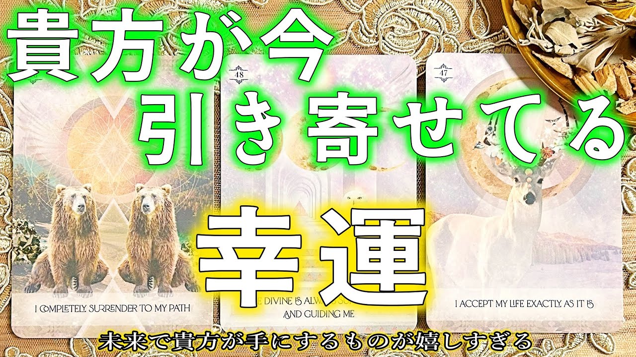 幸運のお告げ🦉最高未来があなたを待っている🍀［カード占い・タロット ・ルノルマン・オラクル］