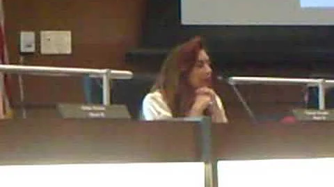 Council Member Tracey Snyder's Concerns