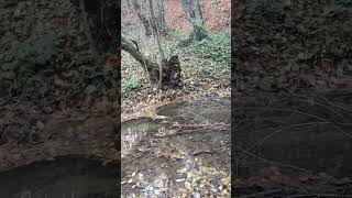 Sen Benden Dertlisin Ben Senden Dertli Ferdi Tayfur