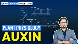 Auxin | Plant Physiology | CSIR NET JUNE 2024 I IFAS