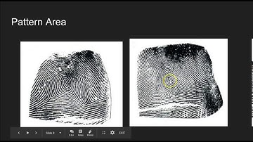Fingerprint Features Video One