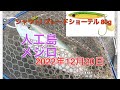 2022年12月20日大阪湾人工島沖向きテトラ青物釣行