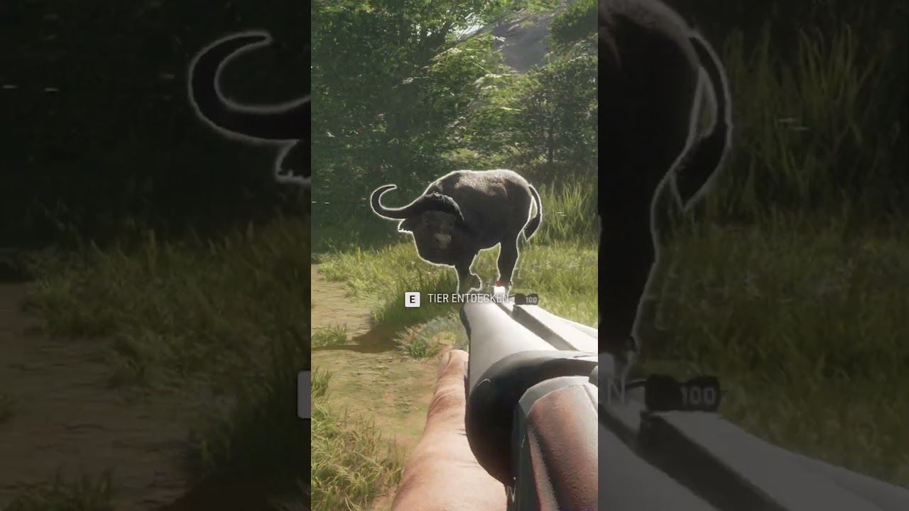 Legendärer Kaffernbüffel greift aus dem Nichts an! | theHunter Call of the Wild 