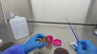 Mikrobiyolijik Ekim Yöntemleri 2