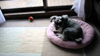 20110127(152450).m2ts
