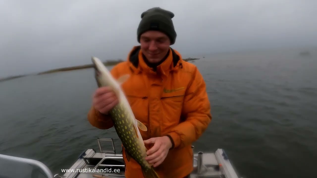 Kevin on Rustika Lantide kuld klient!