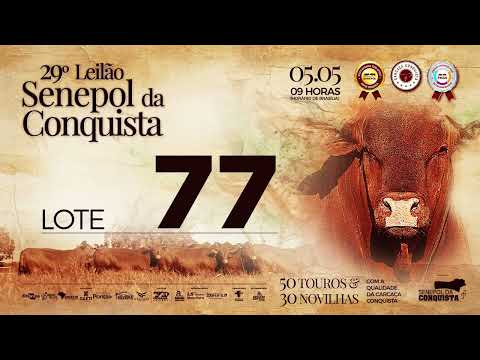 LOTE 77 CONQ 2410