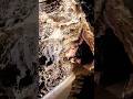 Bear Cave Visit | Poland🇮🇩 #travel #viral #polska #shorts #shortvideo #short #viralvideo #video