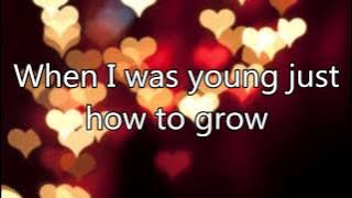 The Perfect Fan lyrics