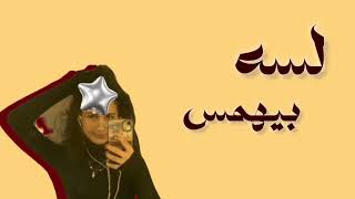 ٨ أغسطس، ٢٠٢٦