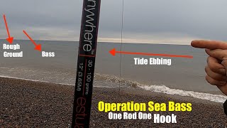 Operation Sea Bass | One Rod One Hook