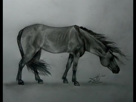 How to draw a horse - como desenhar um cavalo - iPStudio. #shorts