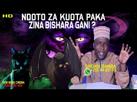 Video: Jinsi Ya Kutafsiri Ndoto Kuhusu Paka