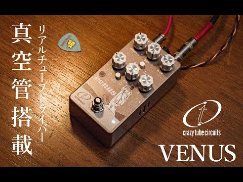ミラクルウェーブ　セルステラ　レッグチューブ ミラクルウェーブ セルステラ レッグチューブ レディース