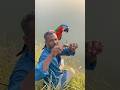 Fishing crab #viral #fishing #crab #parrot #fyp #viralshorts #river #vlog #fishingworld #wildlife 