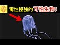 10個世界上【毒性極強的可怕生物】！