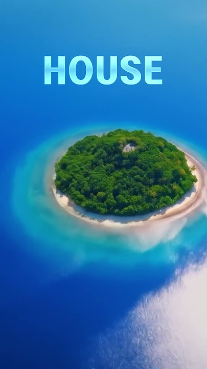 House/Shai T, Shai Tibi - Summer O'clock